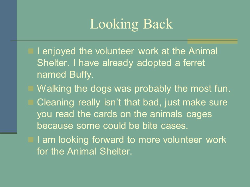Looking Back I enjoyed the volunteer work at the Animal Shelter.