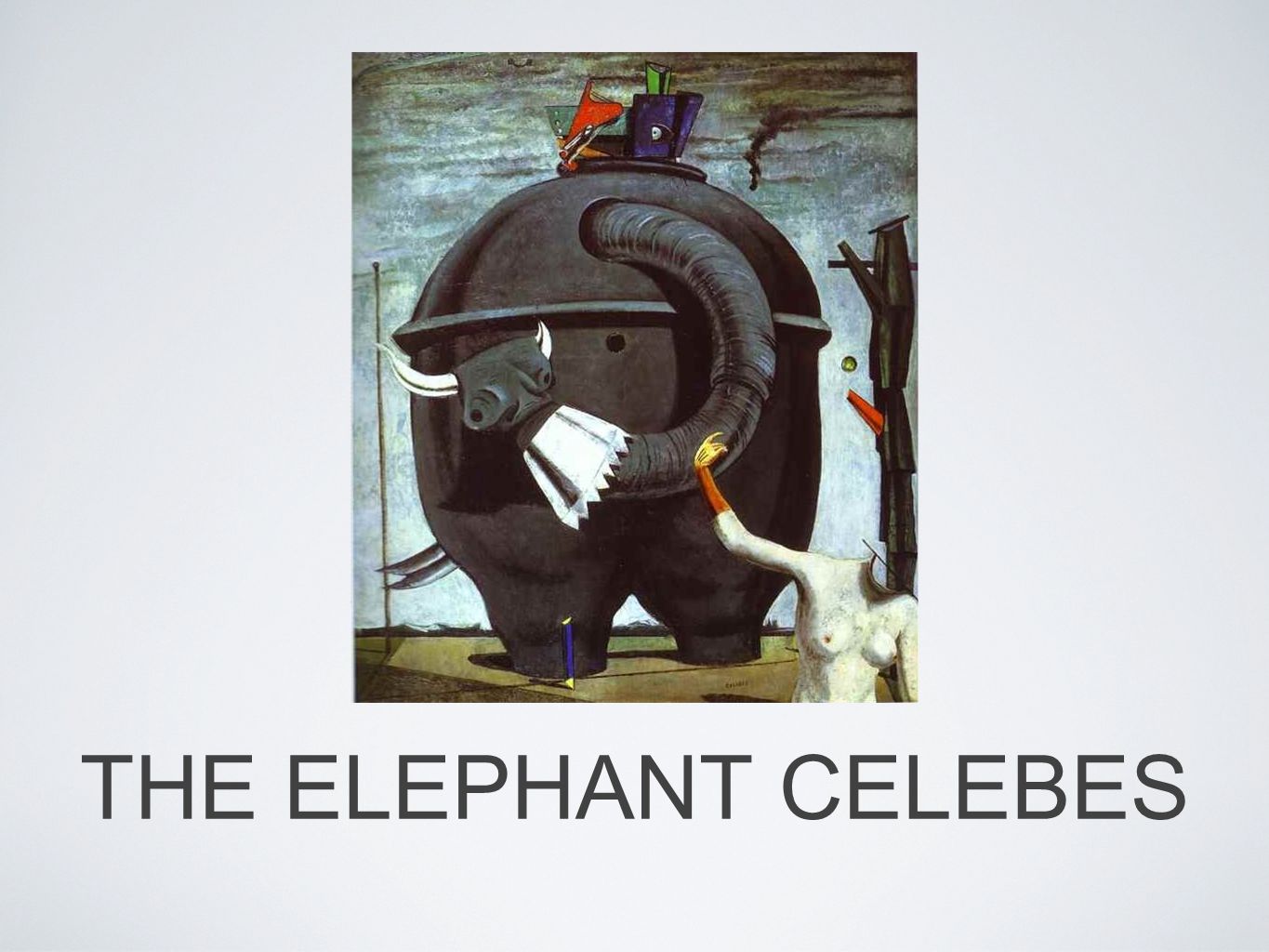 THE ELEPHANT CELEBES