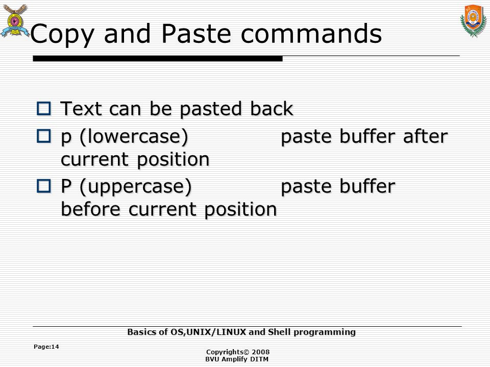 Copyrights© 2008 BVU Amplify DITM Basics of OS,UNIX/LINUX and Shell programming Page:14 Copy and Paste commands  Text can be pasted back  p (lowercase) paste buffer after current position  P (uppercase)paste buffer before current position