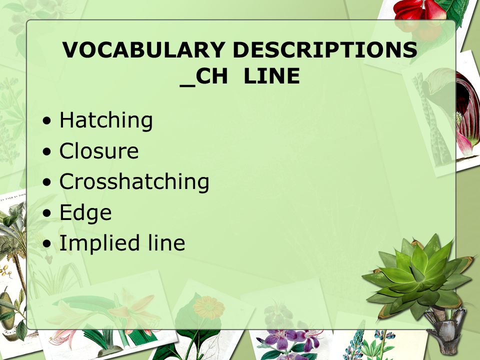 VOCABULARY DESCRIPTIONS _CH LINE Line Contour line Descriptive line Lines of sight Outline Abstract Hatching