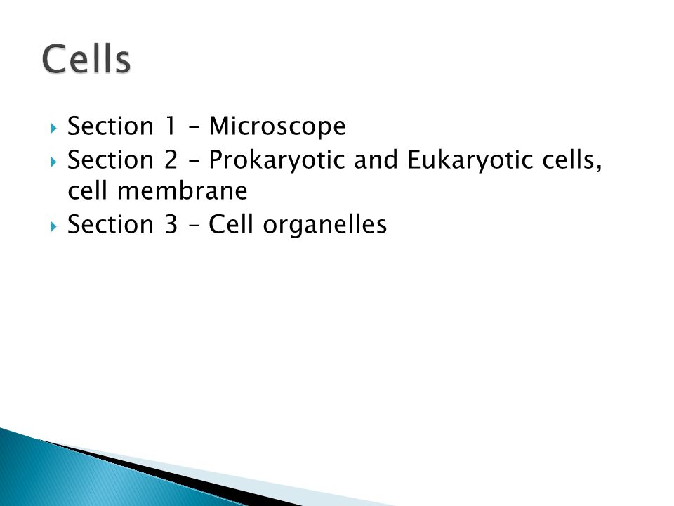  Section 1 – Microscope  Section 2 – Prokaryotic and Eukaryotic cells, cell membrane  Section 3 – Cell organelles