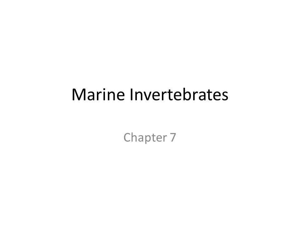 Marine Invertebrates Chapter 7