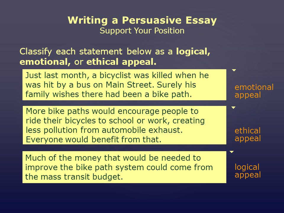 essay support essay support