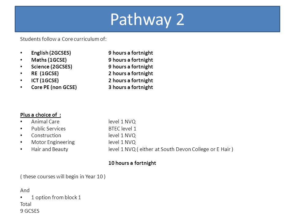 Pathway 2 Students follow a Core curriculum of: English (2GCSES) 9 hours a fortnight Maths (1GCSE) 9 hours a fortnight Science (2GCSES) 9 hours a fortnight RE (1GCSE) 2 hours a fortnight ICT (1GCSE) 2 hours a fortnight Core PE (non GCSE)3 hours a fortnight Plus a choice of : Animal Care level 1 NVQ Public Services BTEC level 1 Construction level 1 NVQ Motor Engineering level 1 NVQ Hair and Beauty level 1 NVQ ( either at South Devon College or E Hair ) 10 hours a fortnight ( these courses will begin in Year 10 ) And 1 option from block 1 Total 9 GCSES