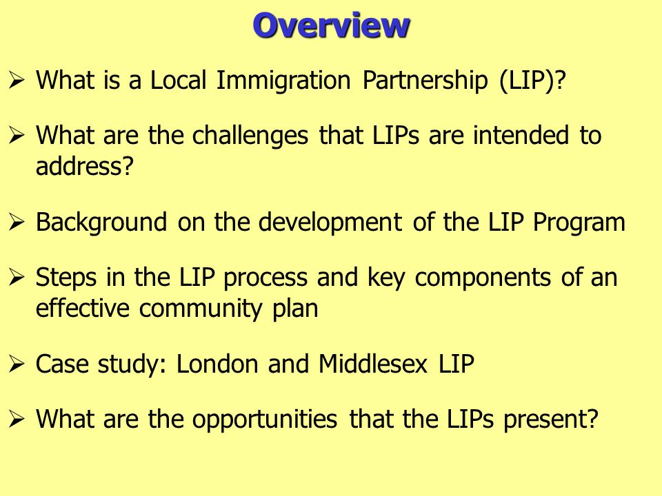 Overview  What is a Local Immigration Partnership (LIP).