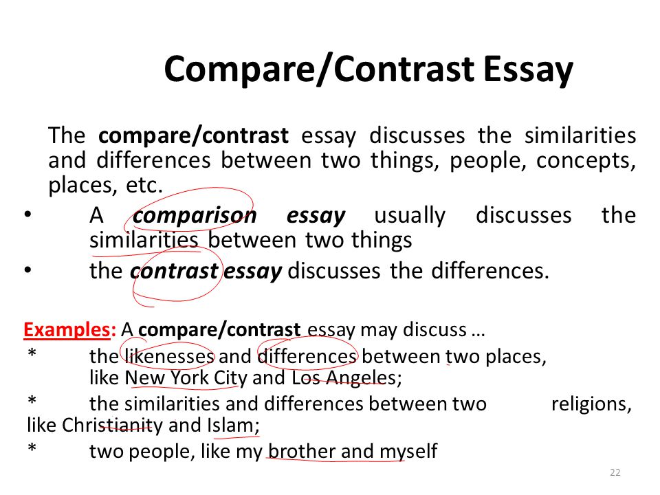 Business Plan Writer Vancouver Bc While Globalization Politics And The English Language Essay also Starting A Business Essay Dueling Thesis Statements Introduction To English Studies Examples Writers Services