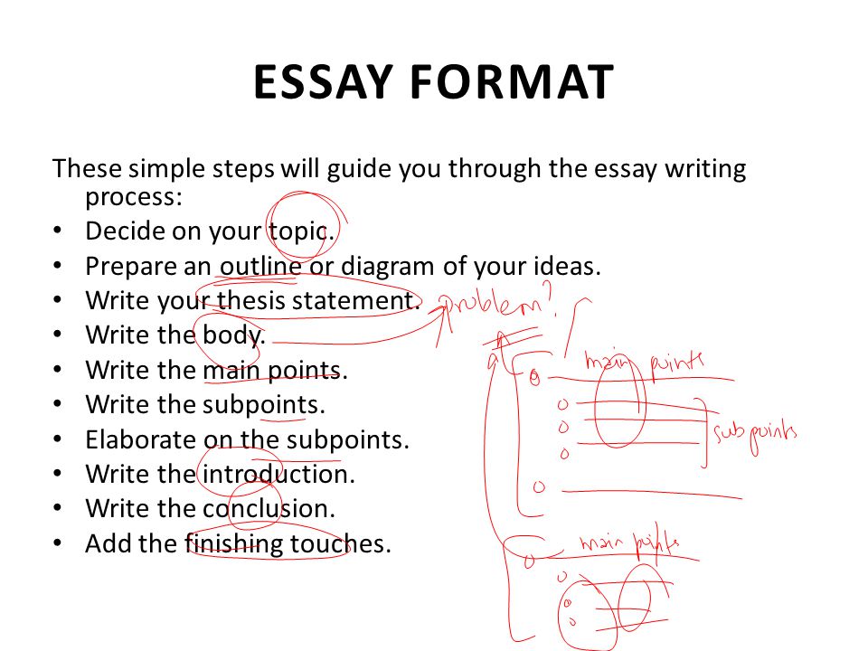 LEO Writing a Process Essay - LEO: Literacy Education Online