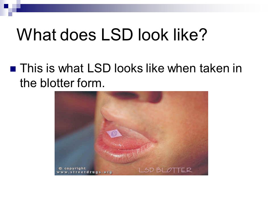 hallucinogens by jonah james megan and tiffany ppt download what form does lsd come in