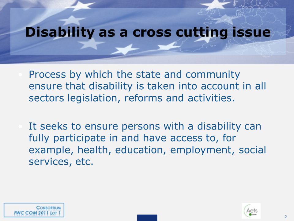 Disability as a cross cutting issue Process by which the state and community ensure that disability is taken into account in all sectors legislation, reforms and activities.