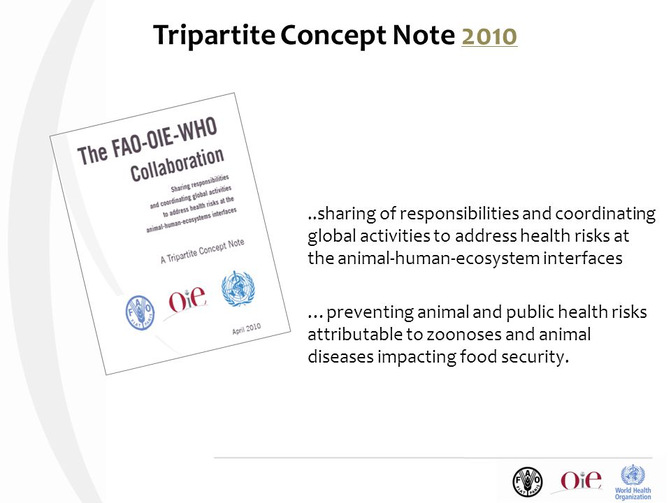 Tripartite Concept Note sharing of responsibilities and coordinating global activities to address health risks at the animal-human-ecosystem interfaces …preventing animal and public health risks attributable to zoonoses and animal diseases impacting food security.