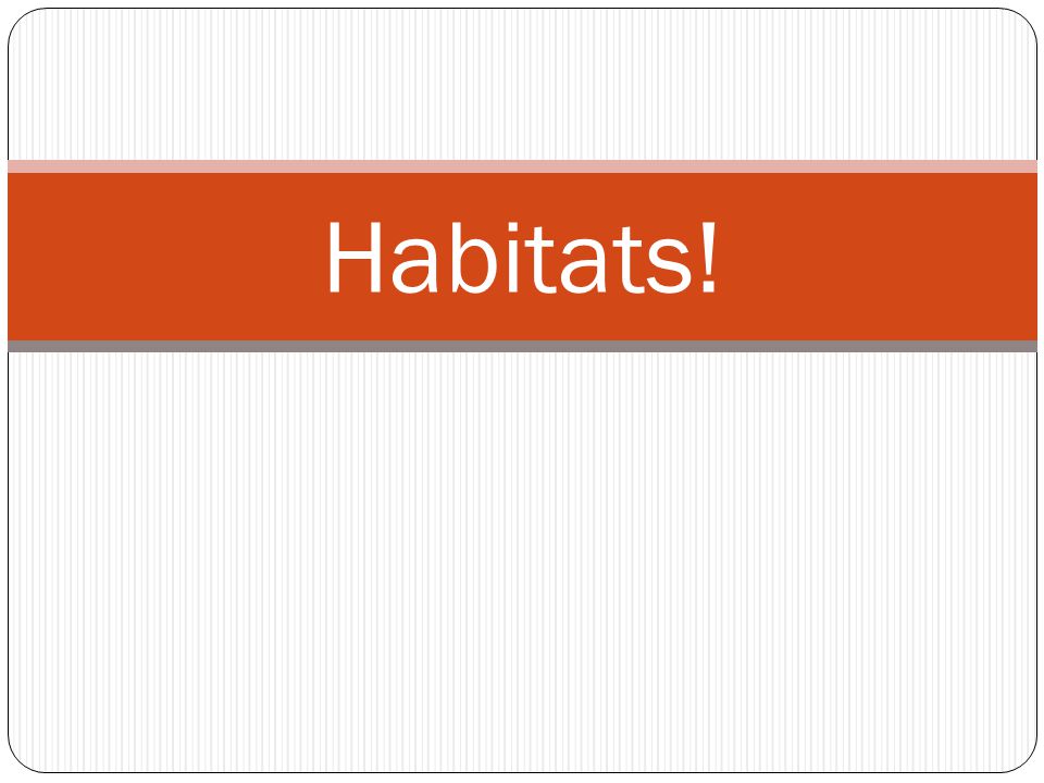 Habitats!