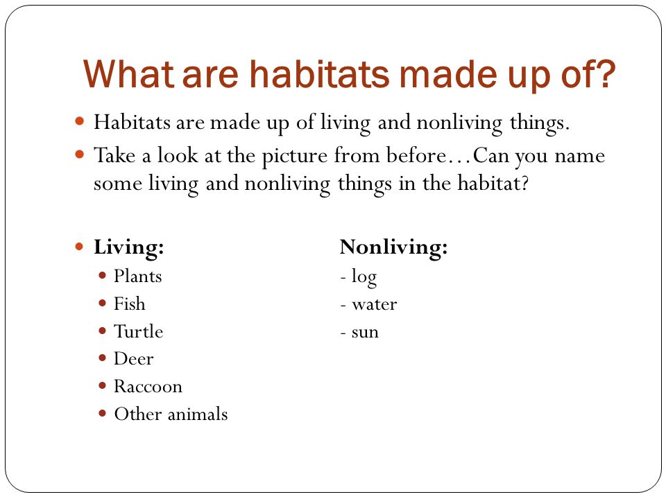 What are habitats made up of. Habitats are made up of living and nonliving things.