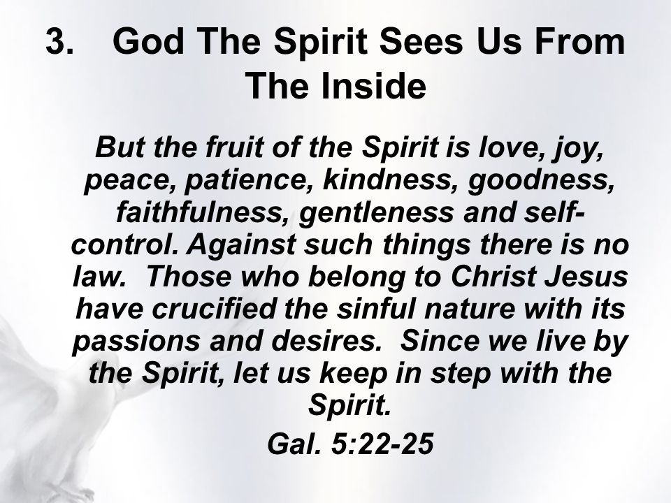 3.God The Spirit Sees Us From The Inside But the fruit of the Spirit is love, joy, peace, patience, kindness, goodness, faithfulness, gentleness and self- control.