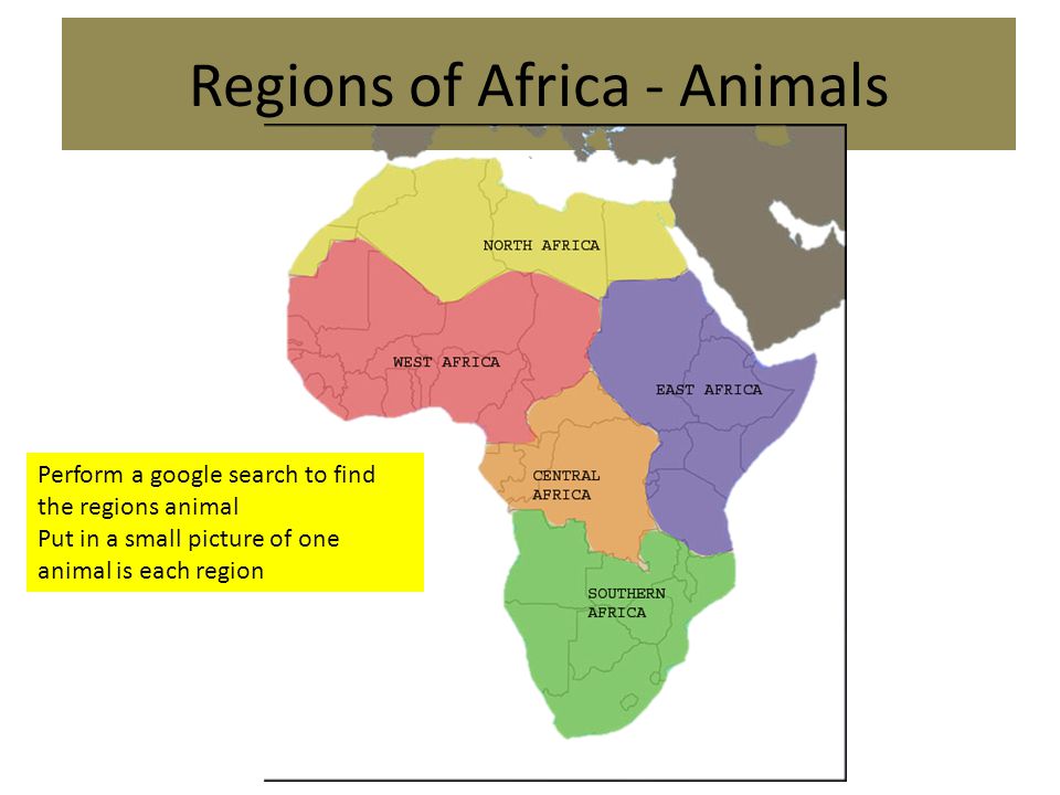 Regions of Africa - Animals Perform a google search to find the regions animal Put in a small picture of one animal is each region