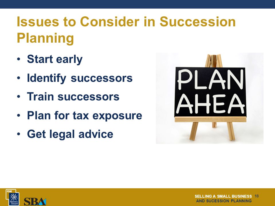 SELLING A SMALL BUSINESS AND SUCESSION PLANNING 18 Issues to Consider in Succession Planning Start early Identify successors Train successors Plan for tax exposure Get legal advice