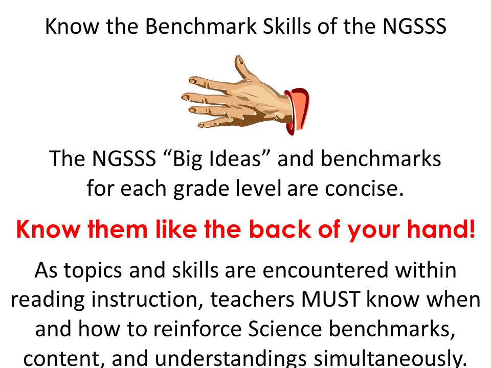 Know the Benchmark Skills of the NGSSS The NGSSS Big Ideas and benchmarks for each grade level are concise.