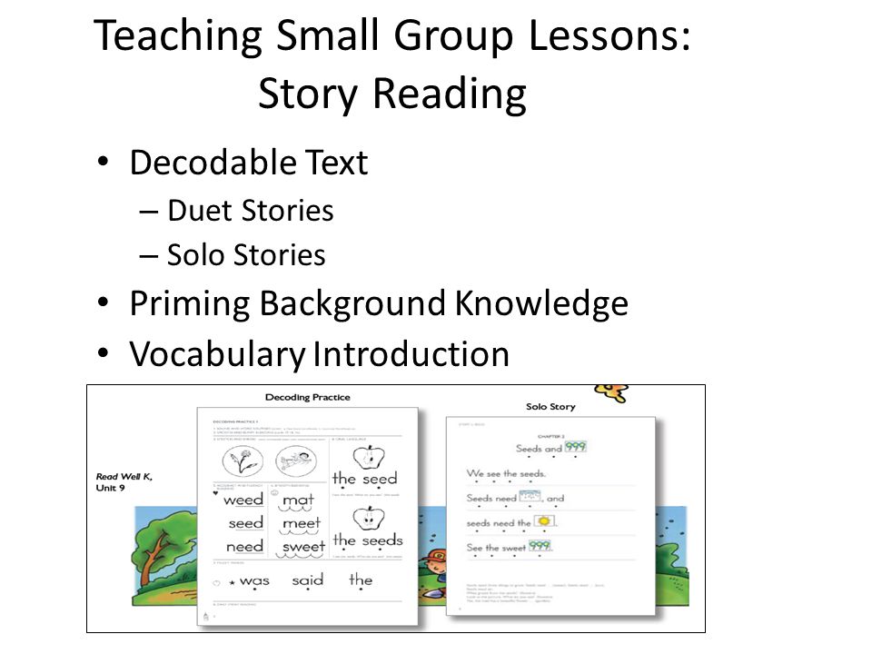 Teaching Small Group Lessons: Story Reading Decodable Text – Duet Stories – Solo Stories Priming Background Knowledge Vocabulary Introduction
