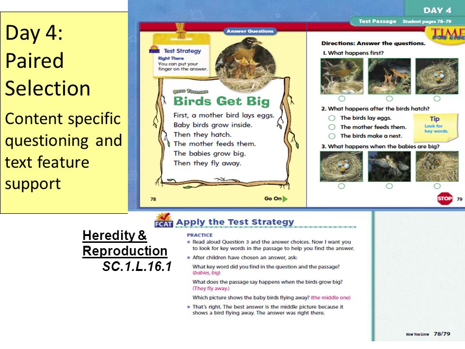 Day 4: Paired Selection Content specific questioning and text feature support Heredity & Reproduction SC.1.L.16.1