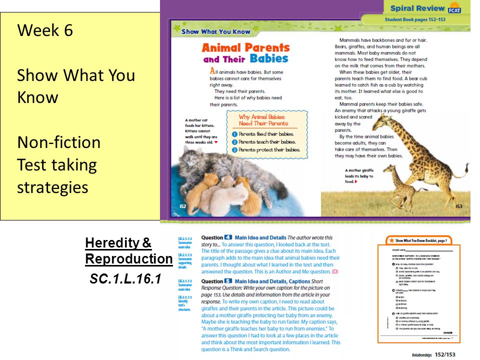 Week 6 Show What You Know Non-fiction Test taking strategies Heredity & Reproduction SC.1.L.16.1