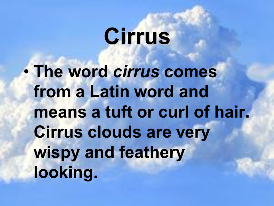 Cirrus The word cirrus comes from a Latin word and means a tuft or curl of hair.