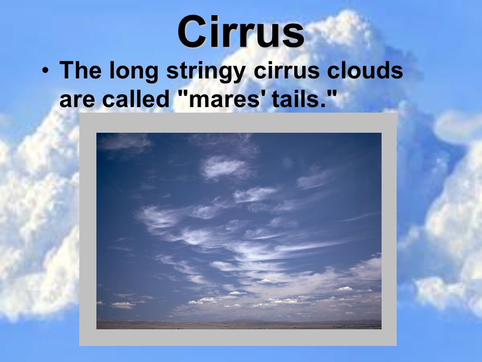 Cirrus The long stringy cirrus clouds are called mares tails.
