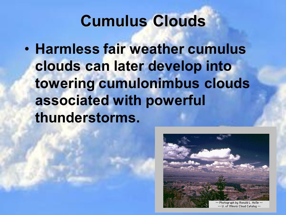 Cumulus Clouds Harmless fair weather cumulus clouds can later develop into towering cumulonimbus clouds associated with powerful thunderstorms.