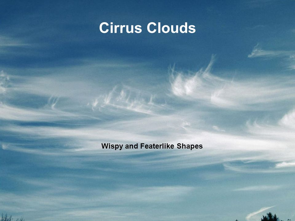 Cirrus Clouds Wispy and Featerlike Shapes