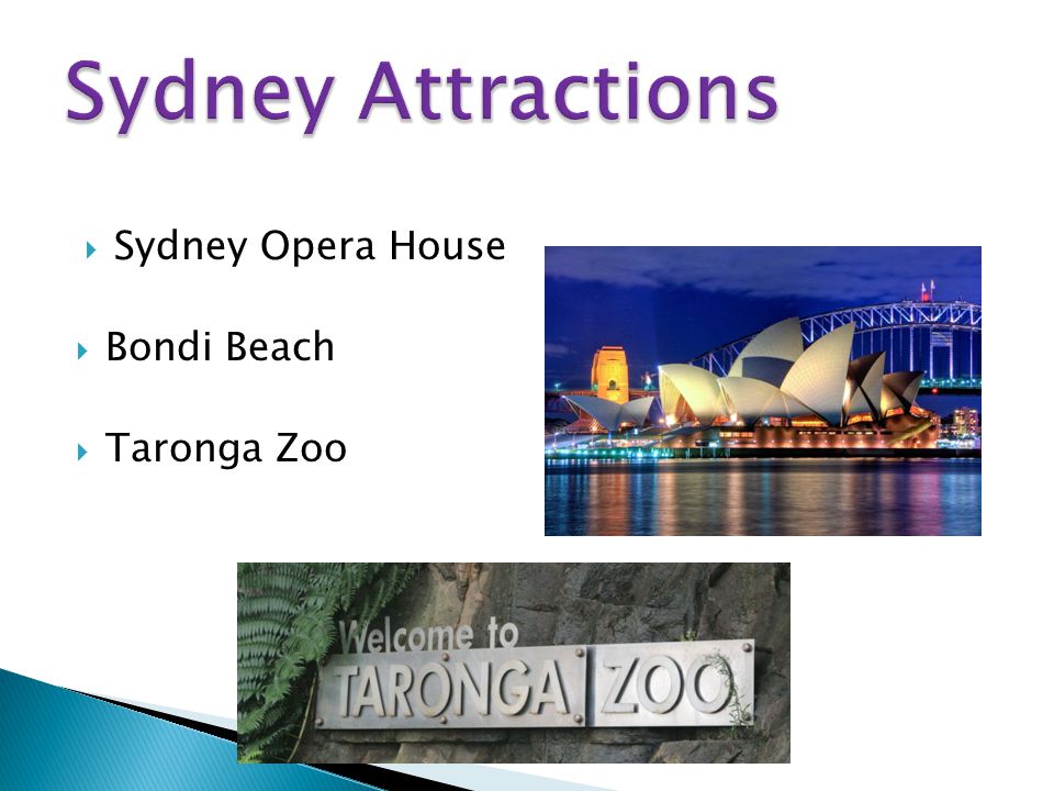  Sydney Opera House  Bondi Beach  Taronga Zoo