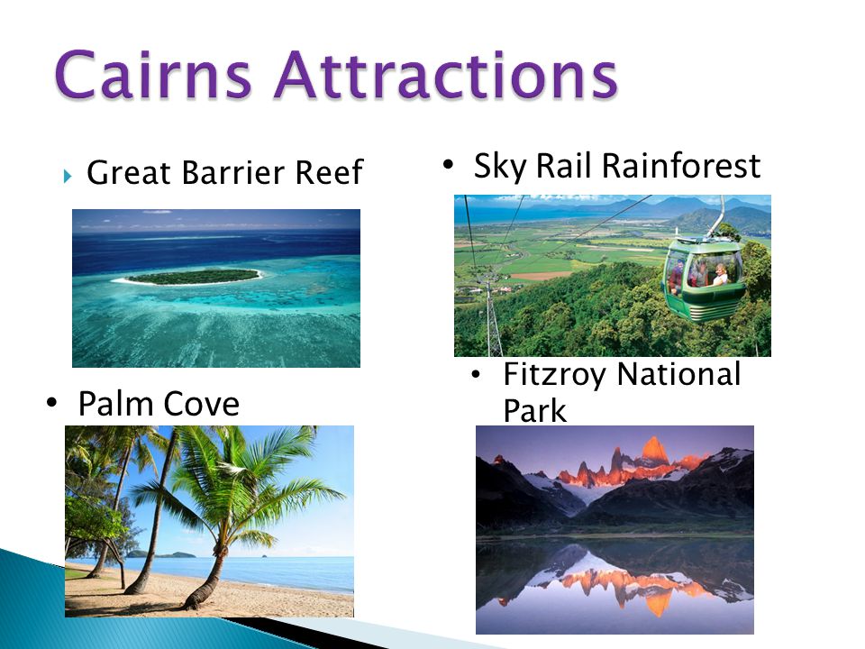  Great Barrier Reef Sky Rail Rainforest Palm Cove Fitzroy National Park