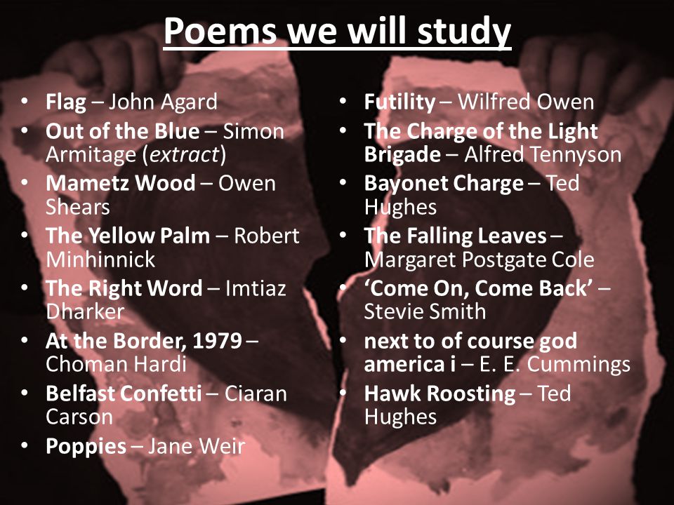 Poems we will study Flag – John Agard Out of the Blue – Simon Armitage (extract) Mametz Wood – Owen Shears The Yellow Palm – Robert Minhinnick The Right Word – Imtiaz Dharker At the Border, 1979 – Choman Hardi Belfast Confetti – Ciaran Carson Poppies – Jane Weir Futility – Wilfred Owen The Charge of the Light Brigade – Alfred Tennyson Bayonet Charge – Ted Hughes The Falling Leaves – Margaret Postgate Cole ‘Come On, Come Back’ – Stevie Smith next to of course god america i – E.
