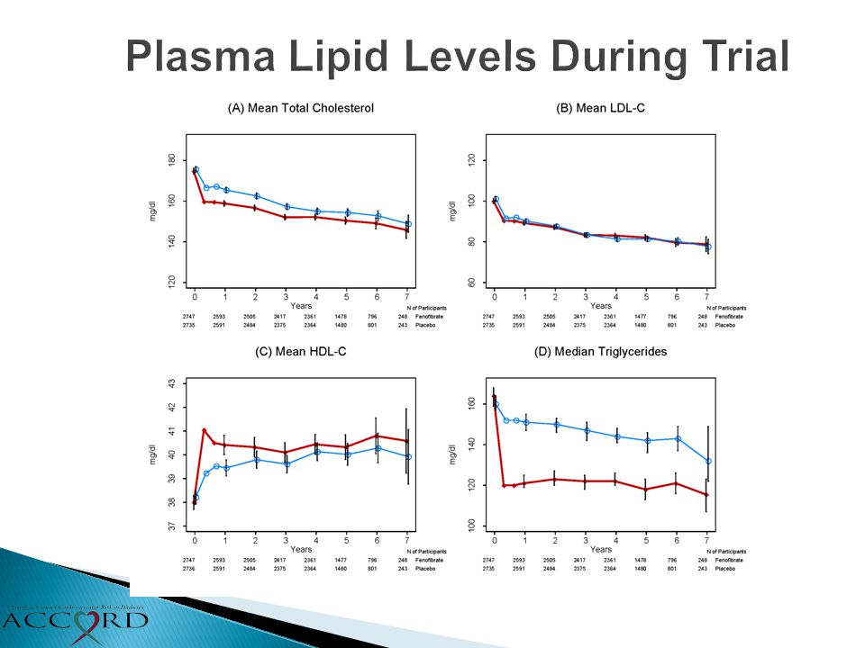 Plasma Lipid Levels During Trial