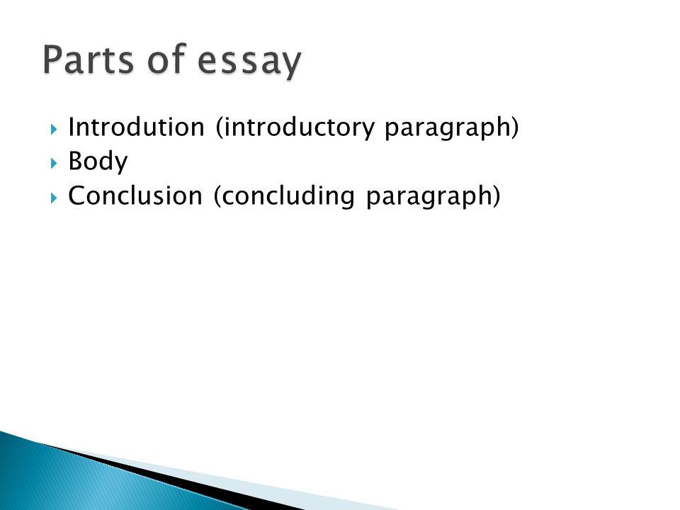 how long is a conclusion in a essay how long is a conclusion in a essay
