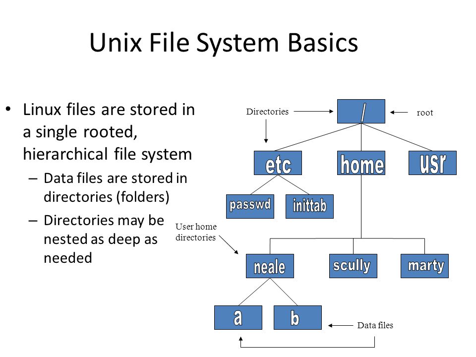 Unix File System Basics Linux files are stored in a single rooted, hierarchical file system – Data files are stored in directories (folders) – Directories may be nested as deep as needed Directories User home directories Data files root