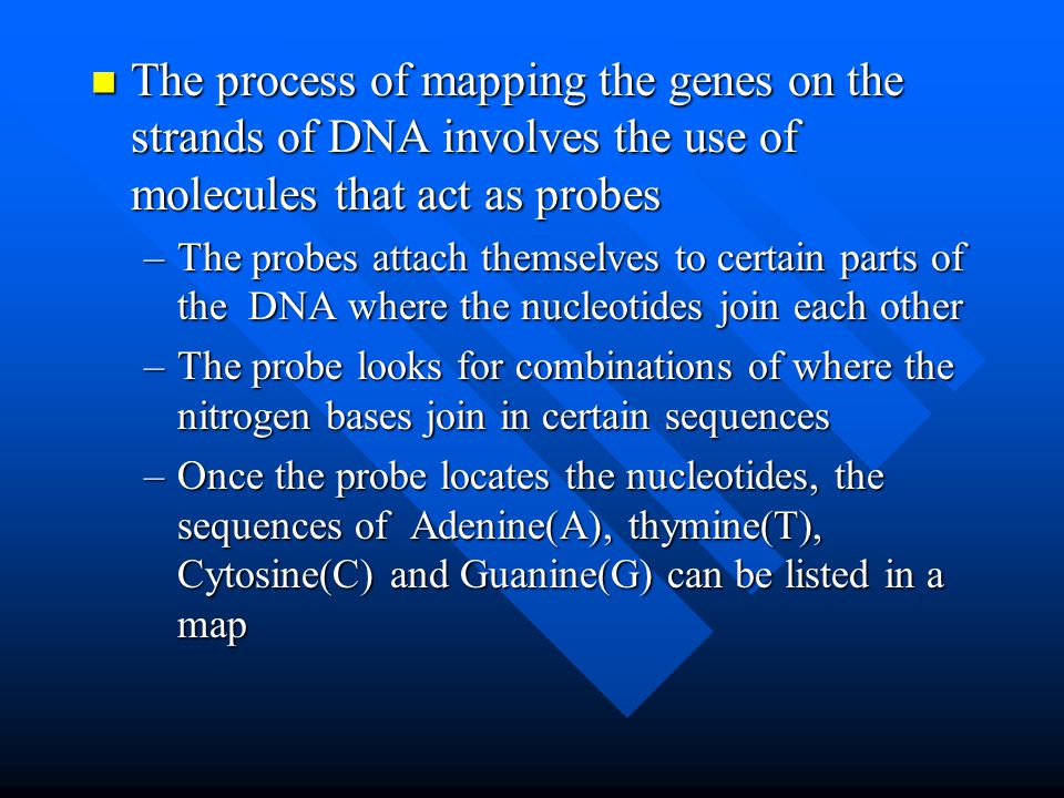The process of mapping the genes on the strands of DNA involves the use of molecules that act as probes The process of mapping the genes on the strands of DNA involves the use of molecules that act as probes –The probes attach themselves to certain parts of the DNA where the nucleotides join each other –The probe looks for combinations of where the nitrogen bases join in certain sequences –Once the probe locates the nucleotides, the sequences of Adenine(A), thymine(T), Cytosine(C) and Guanine(G) can be listed in a map