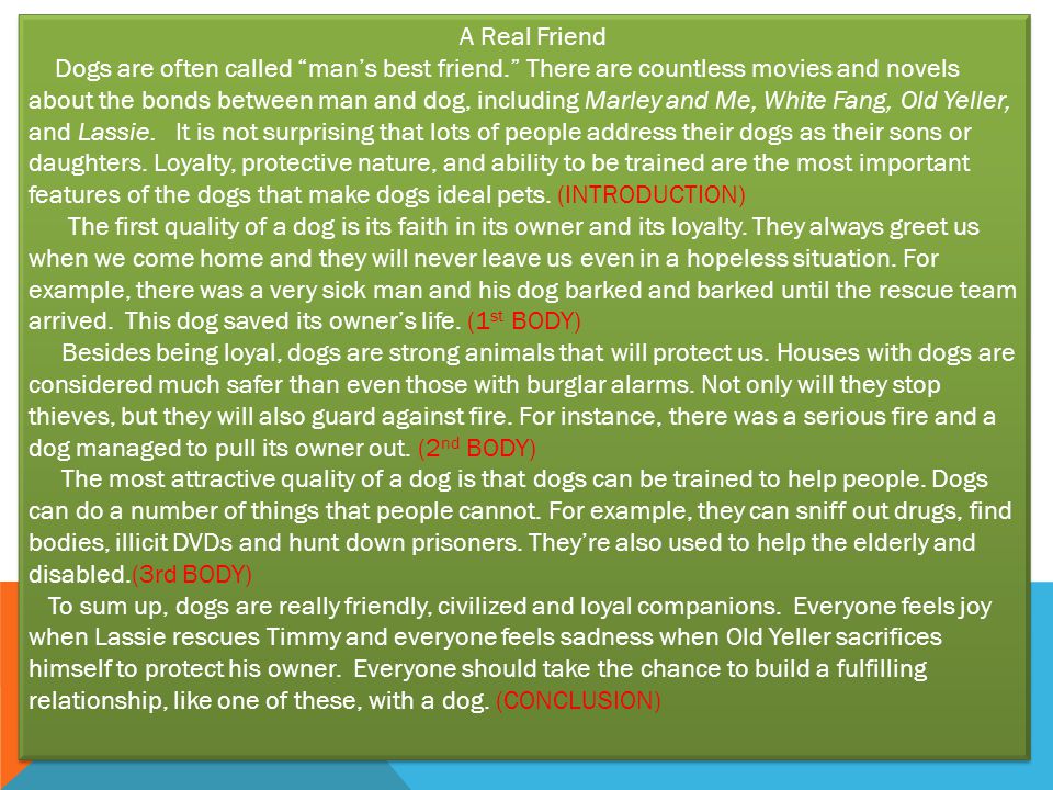 A Real Friend Dogs are often called man’s best friend. There are countless movies and novels about the bonds between man and dog, including Marley and Me, White Fang, Old Yeller, and Lassie.