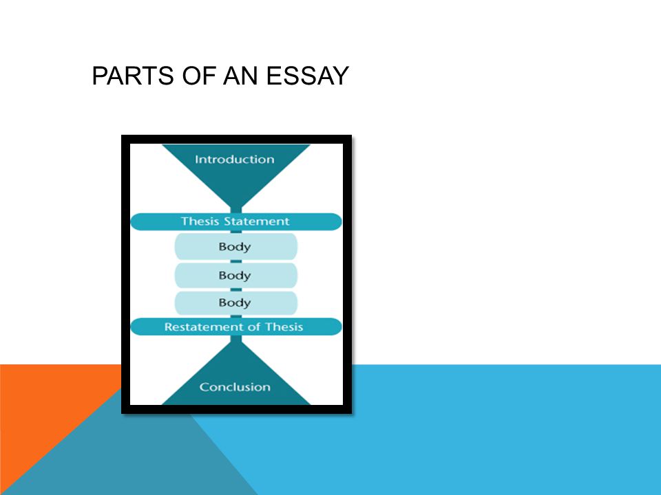 PARTS OF AN ESSAY