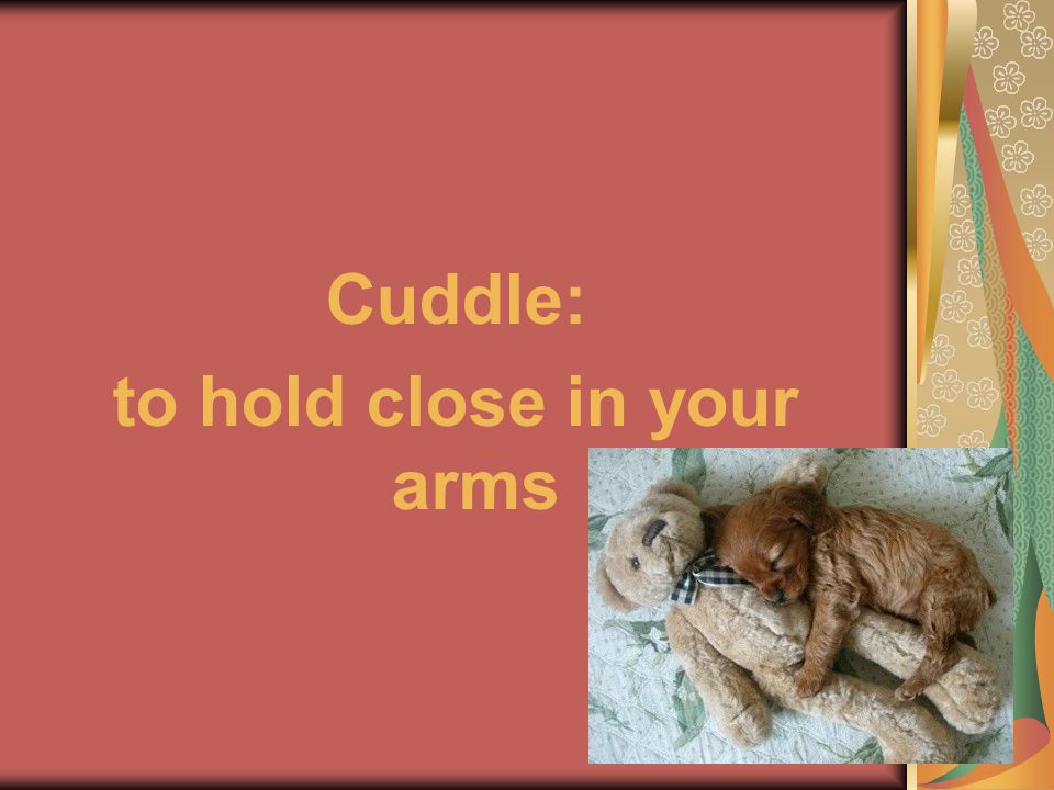 Cuddle: to hold close in your arms