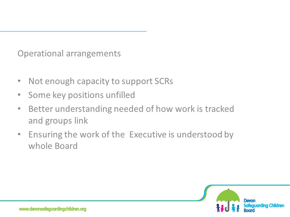 Operational arrangements Not enough capacity to support SCRs Some key positions unfilled Better understanding needed of how work is tracked and groups link Ensuring the work of the Executive is understood by whole Board