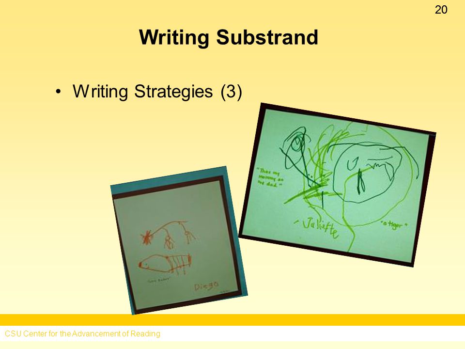 20 Writing Substrand Writing Strategies (3) CSU Center for the Advancement of Reading