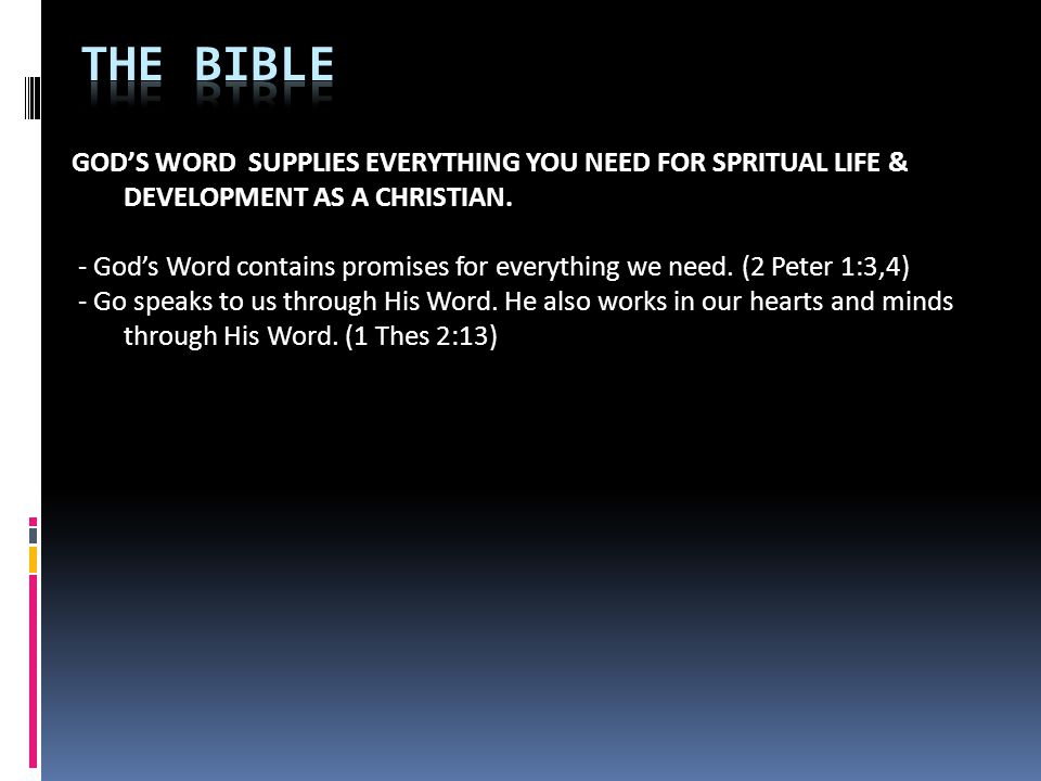 GOD’S WORD SUPPLIES EVERYTHING YOU NEED FOR SPRITUAL LIFE & DEVELOPMENT AS A CHRISTIAN.