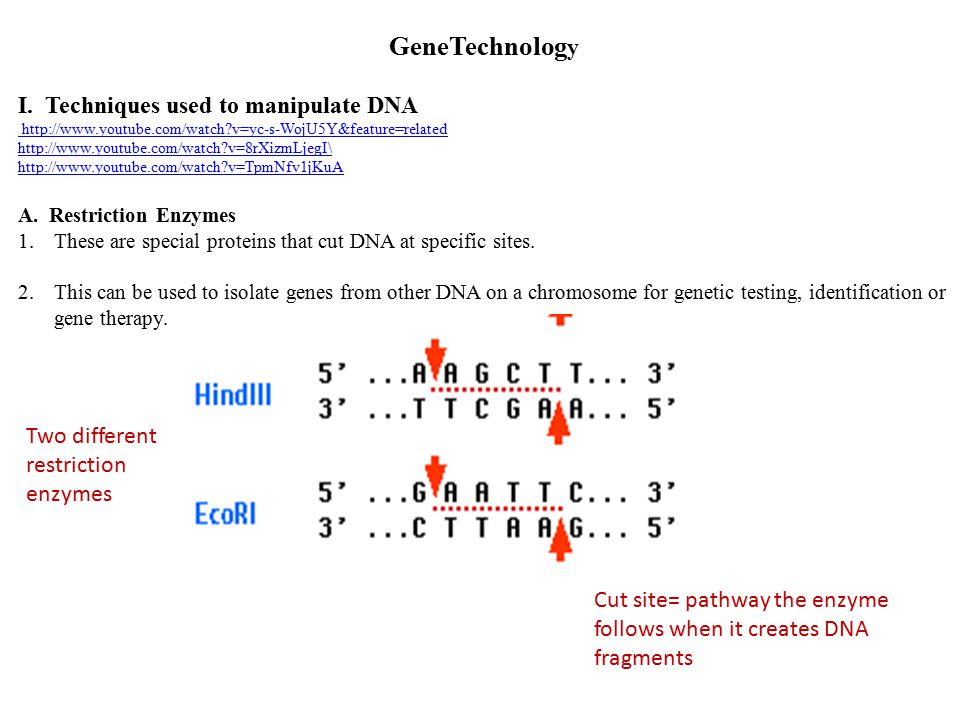 GeneTechnolog y I.