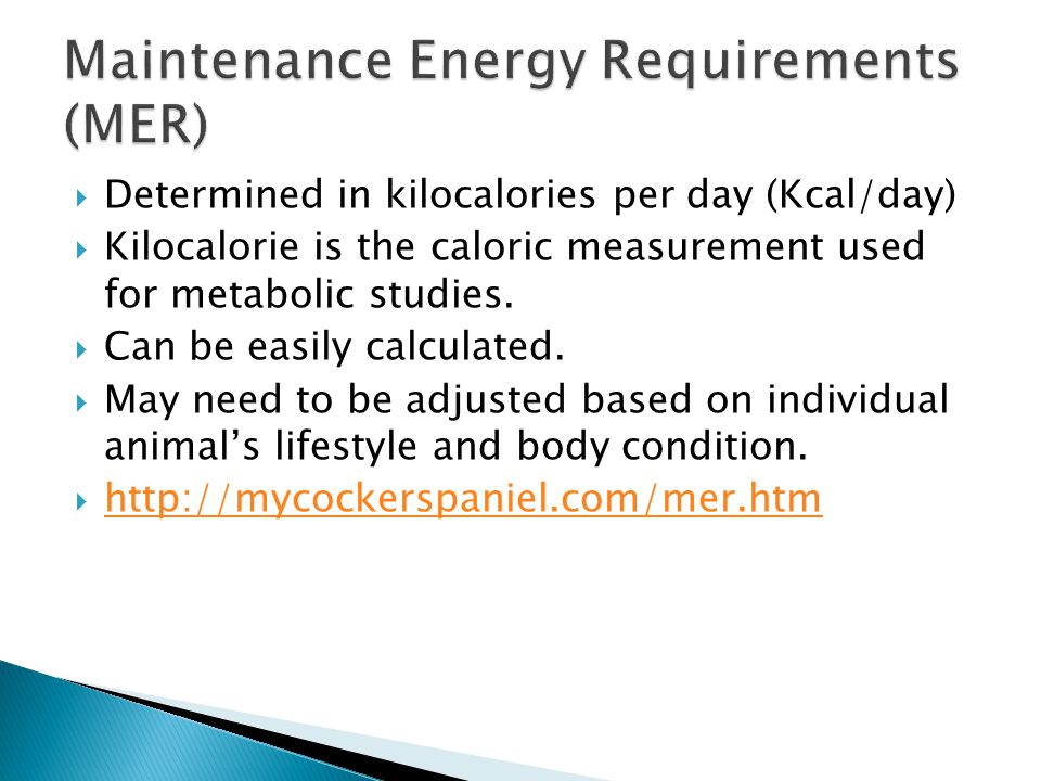  Determined in kilocalories per day (Kcal/day)  Kilocalorie is the caloric measurement used for metabolic studies.