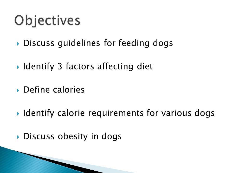  Discuss guidelines for feeding dogs  Identify 3 factors affecting diet  Define calories  Identify calorie requirements for various dogs  Discuss obesity in dogs