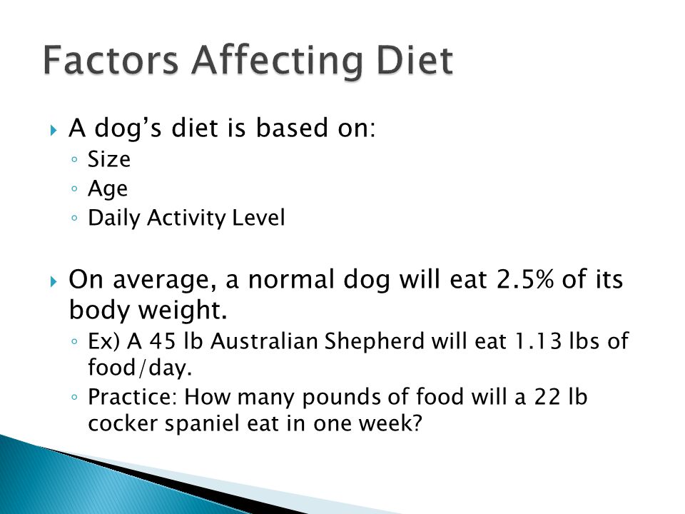  A dog’s diet is based on: ◦ Size ◦ Age ◦ Daily Activity Level  On average, a normal dog will eat 2.5% of its body weight.