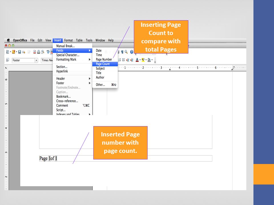 Inserting Page Count to compare with total Pages Inserted Page number with page count.