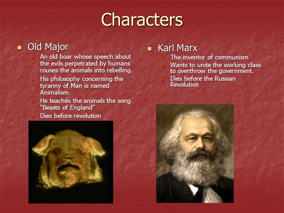 marx and animal farm Orwell & marx - animalism vs marxism by howard m unger honors thesis, state university of new york at binghamton (spring 1994) ³every line i have written since 1936 has been written, directly or indirectly, against totalitarianism, quotes george orwell in the preface to the 1956 signet classic edition of animal farm. marx and animal farm Orwell & marx - animalism vs marxism by howard m unger honors thesis, state university of new york at binghamton (spring 1994) ³every line i have written since 1936 has been written, directly or indirectly, against totalitarianism, quotes george orwell in the preface to the 1956 signet classic edition of animal farm.