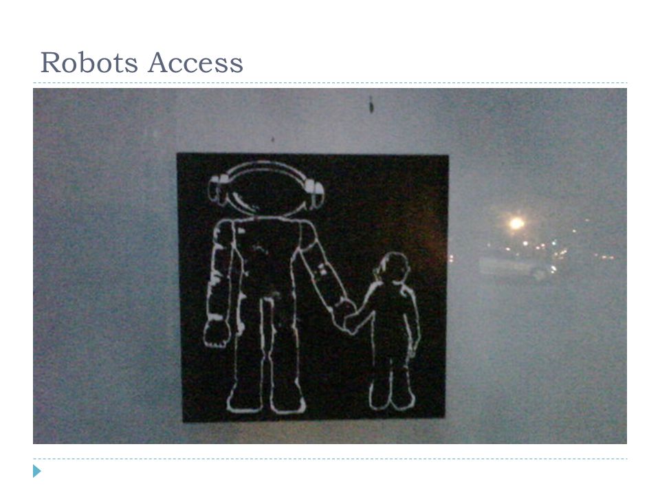 Robots Access