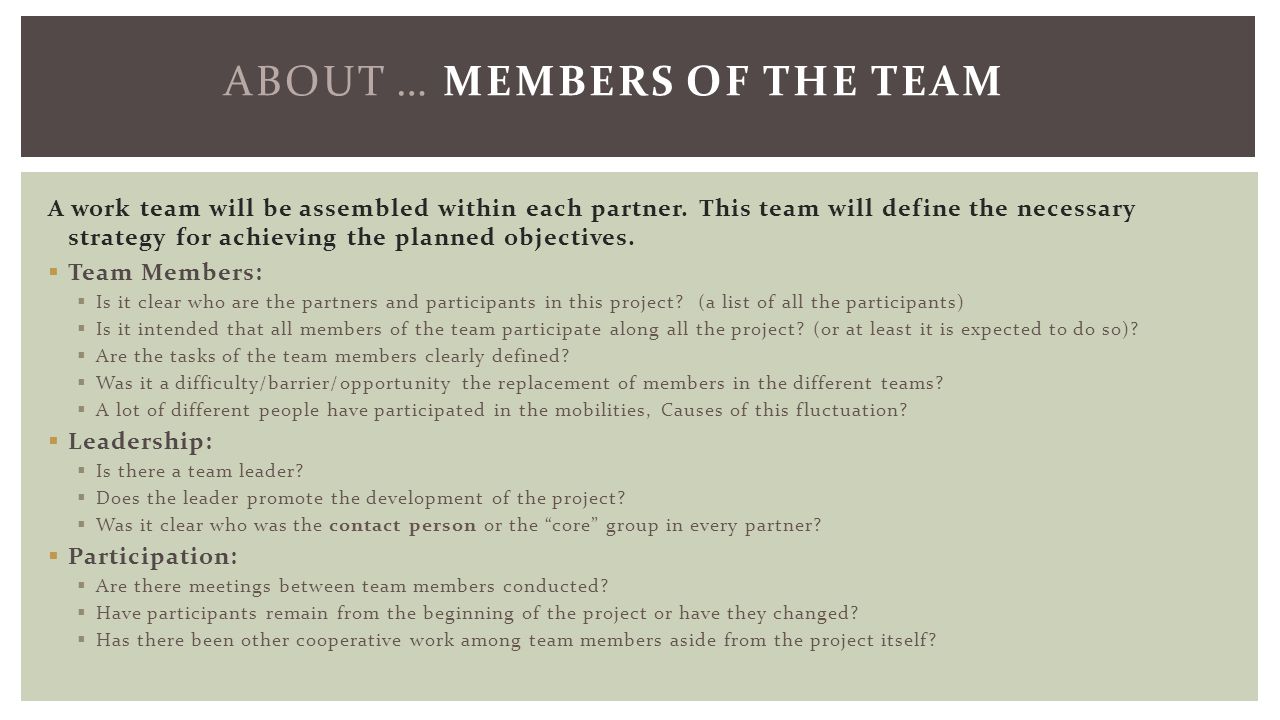 A work team will be assembled within each partner.
