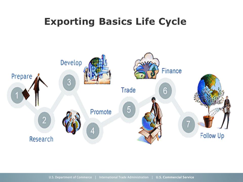 Exporting Basics Life Cycle