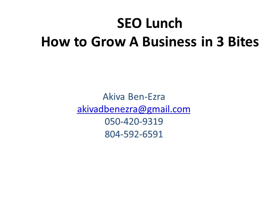 SEO Lunch How to Grow A Business in 3 Bites Akiva Ben-Ezra